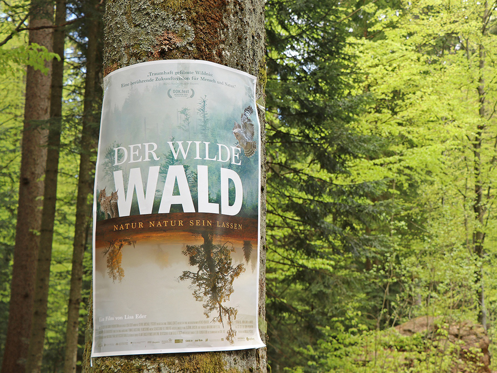 01 NPV BW PM 21 21 Der wilde Wald feiert Premiere