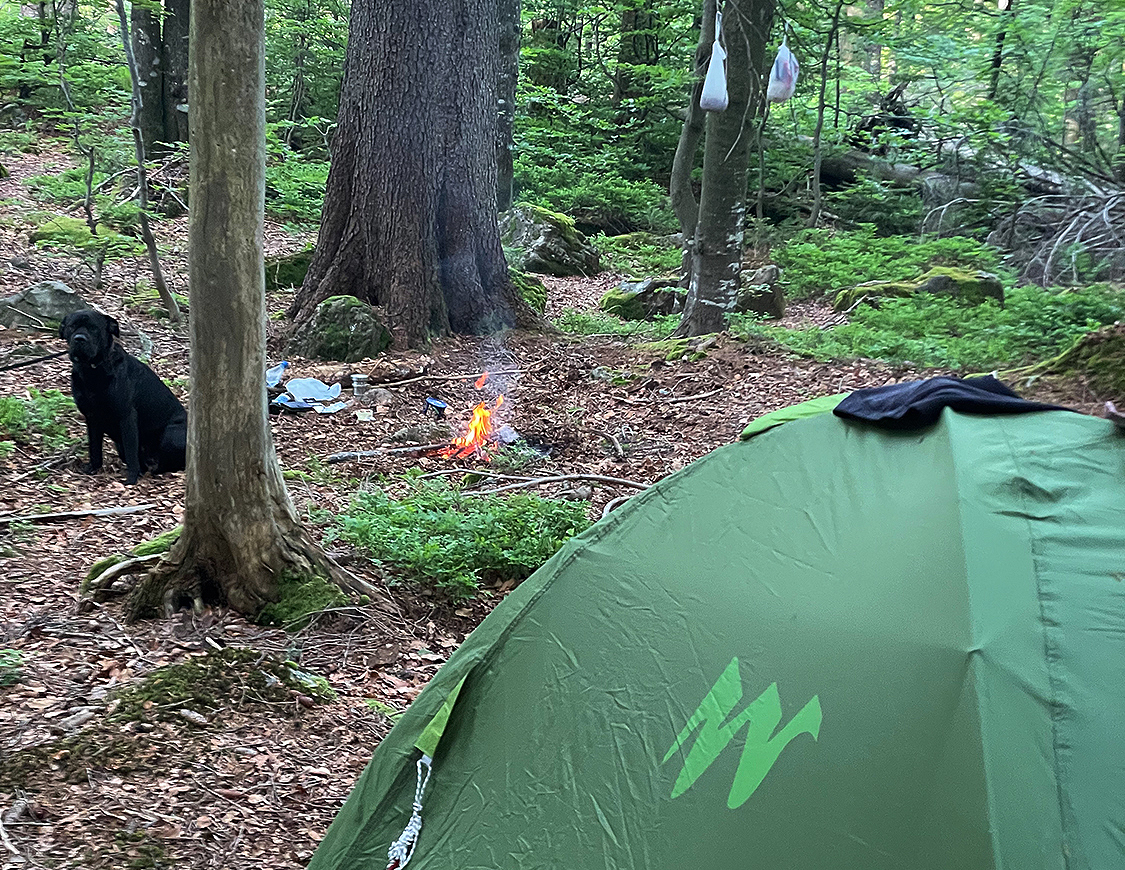 NPV BW PM 34 21 Immer mehr Wildcamper im Nationalpark w
