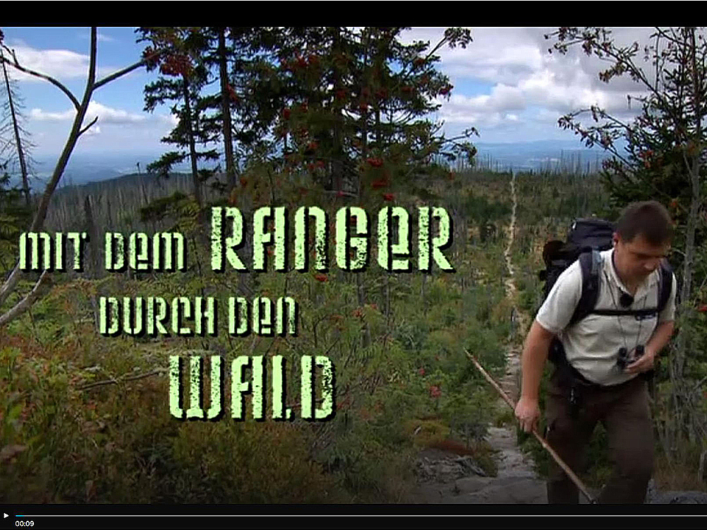 Im Nationalpark
