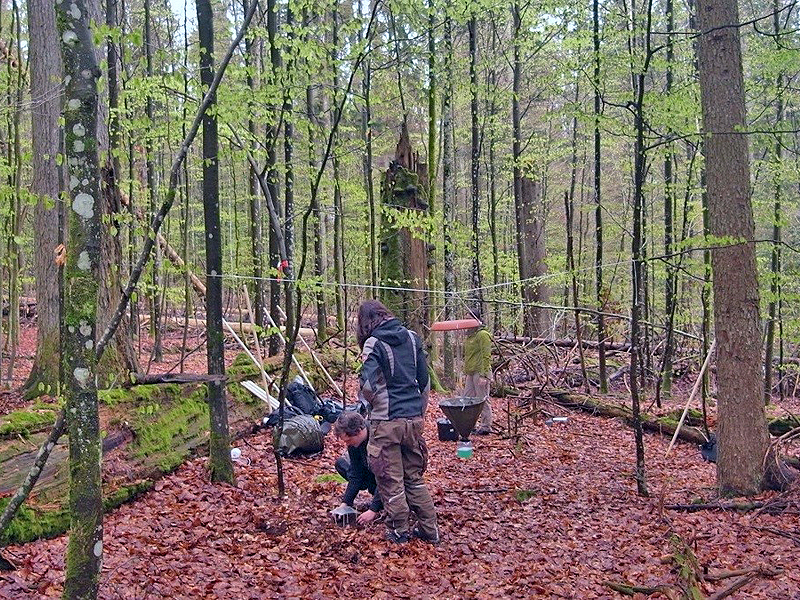 NPV BW PM 02 18 b Nationalpark bringt sich in UN Debatte ein