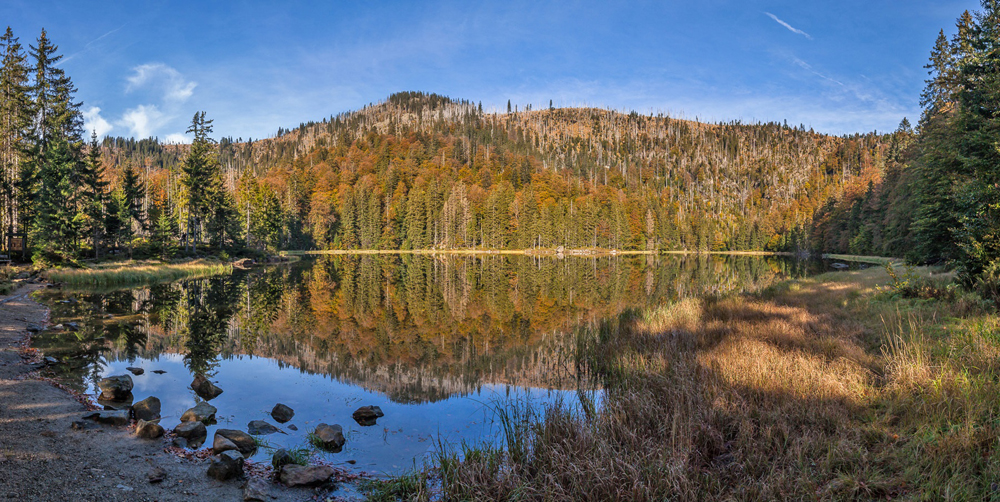 01 NPV BW PM 25 19 Forscher entdecken Vulkanasche aus der Eifel im Bayerischen Wald 1