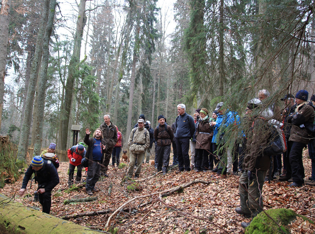 NPV BW VM 38 19 Zum Urwald am Boubn w