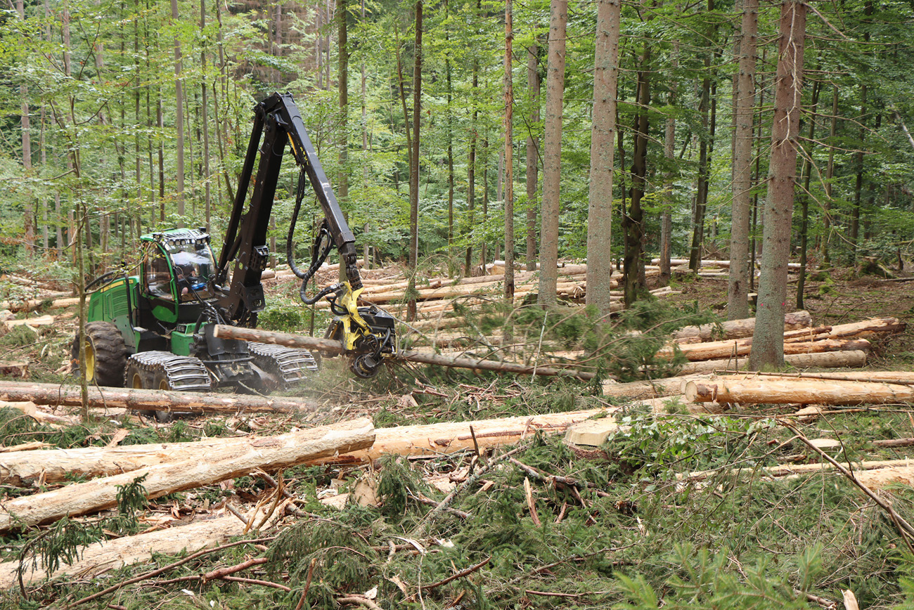 NPV BW PM 46 23 Fragen und Antworten zum Borkenkfer 1