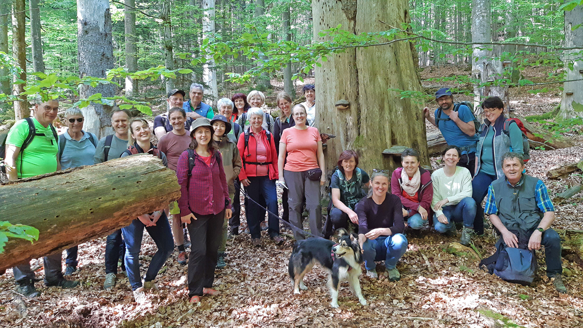 NPV BW PM 55 23 22 neue Nationalpark Waldfhrer