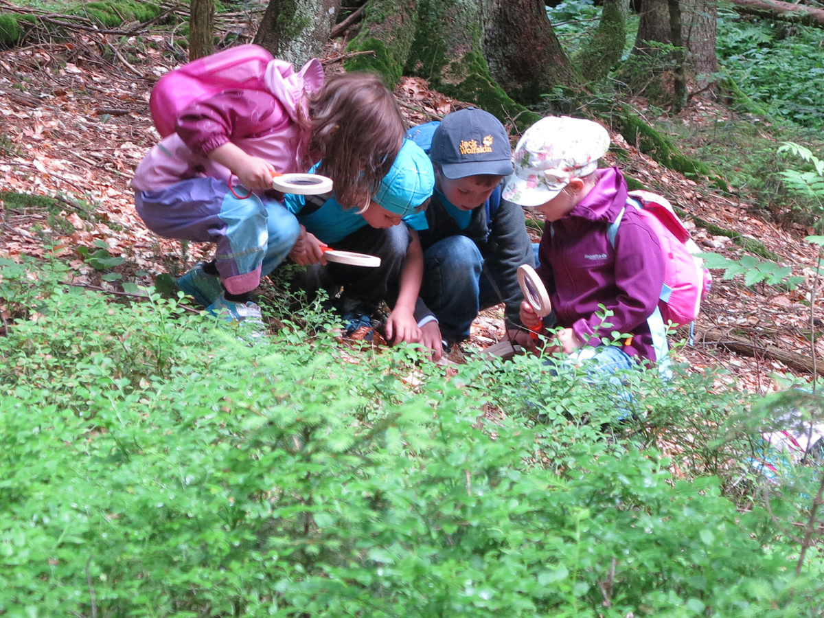 NPV BW VM 054 23 Beim Ferienprogramm den Wald spren