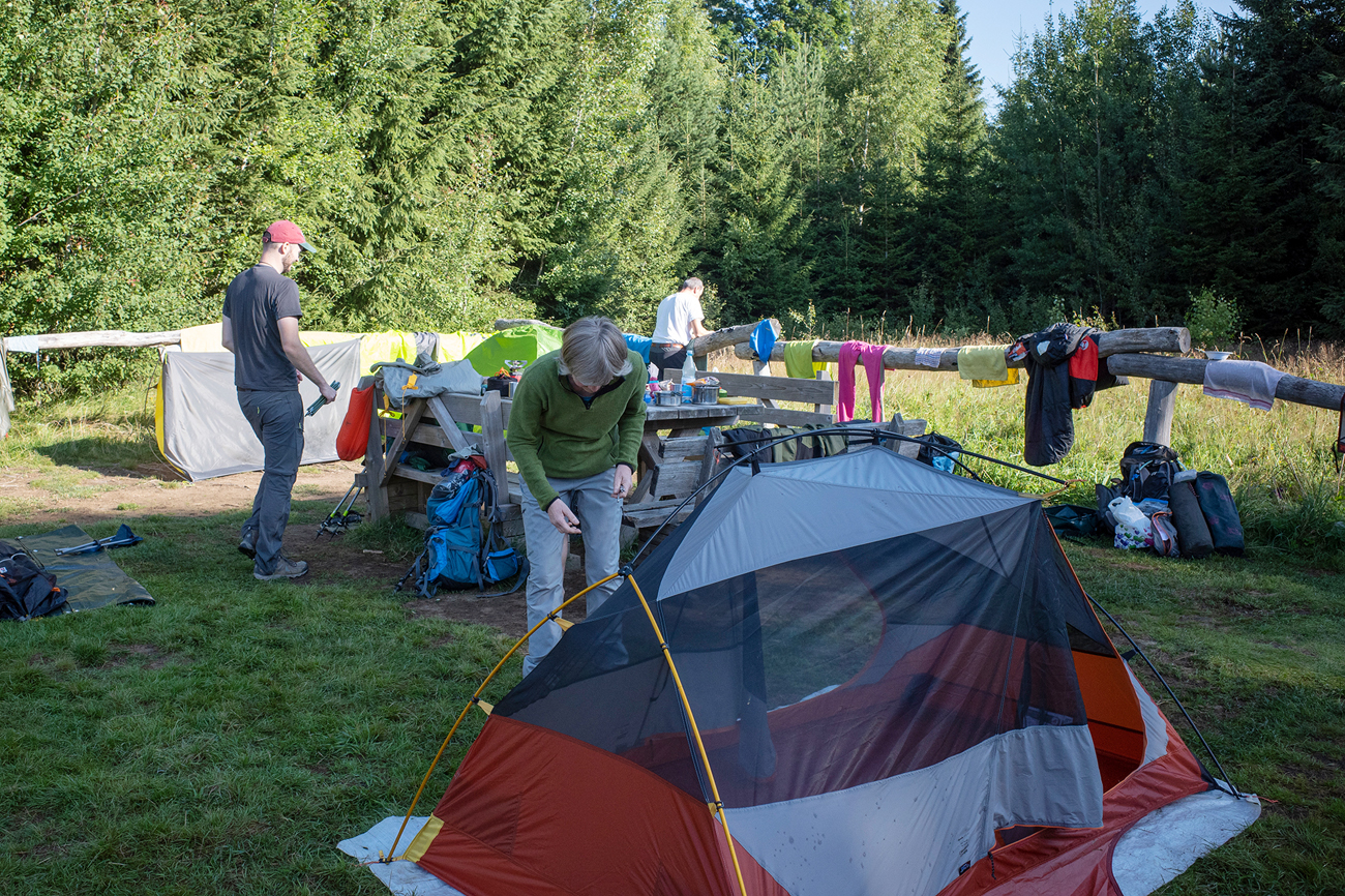 NPV BW VM 099 23 Wild frei und mittendrin im Nationalpark