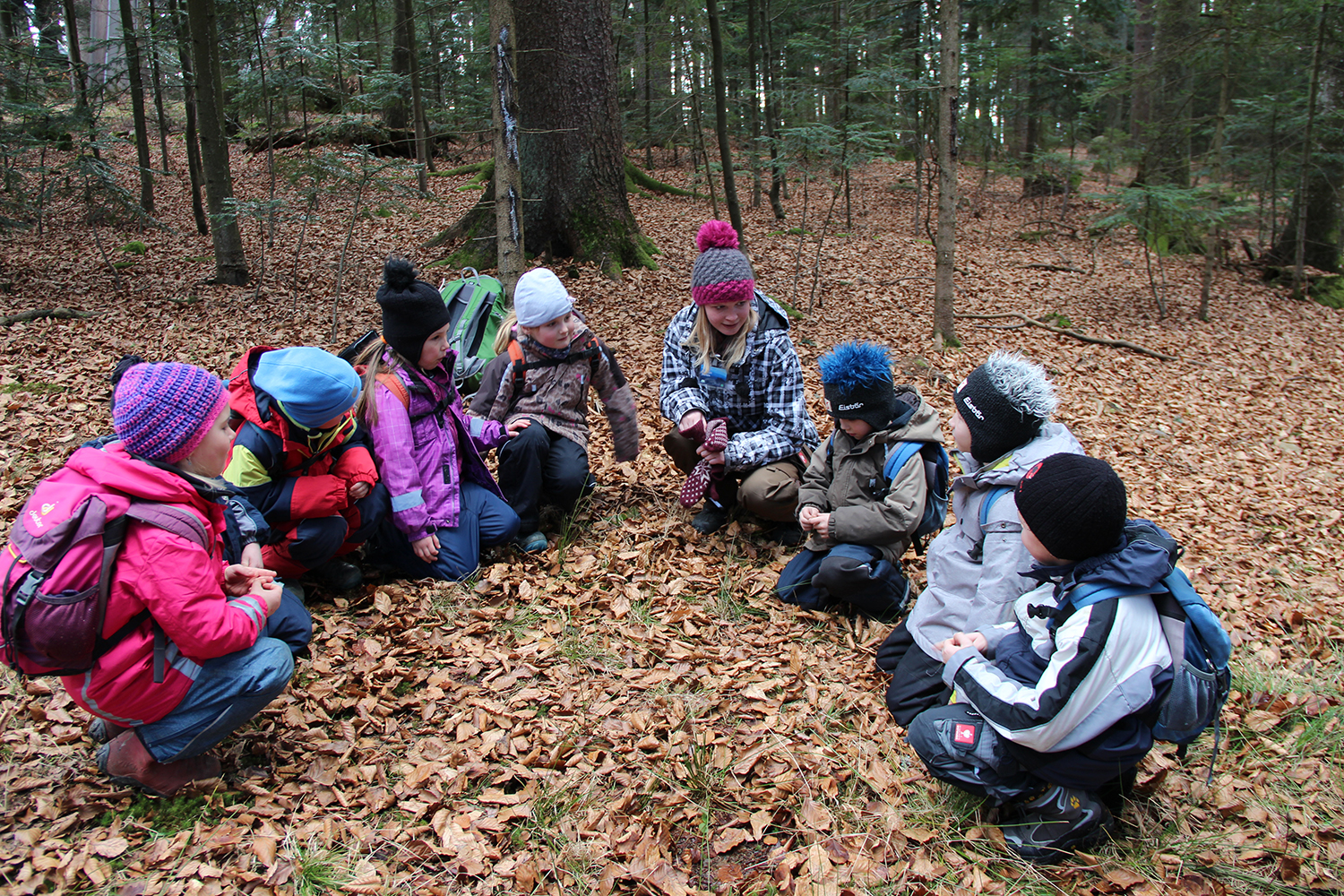 NPV BW VM 174 23 Spannende Abenteuer im wilden Wald