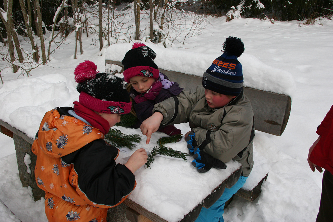 NPV BW PM 016 24 Zu Fasching wird es im Nationalpark bunt
