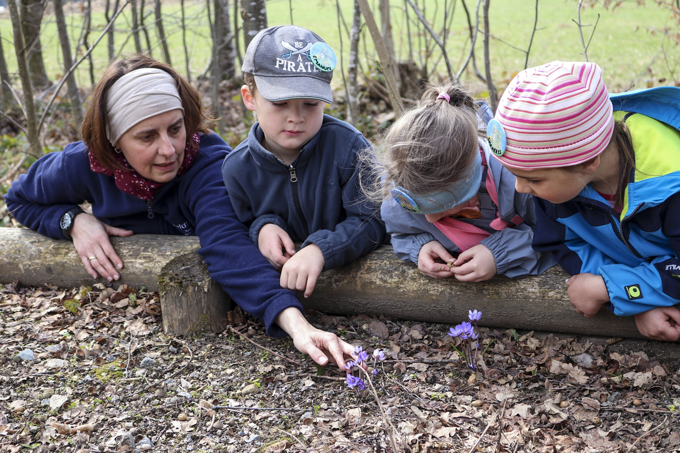 NPV BW VM 14 24 In den Ferien den Frhling im Nationalpark entdecken