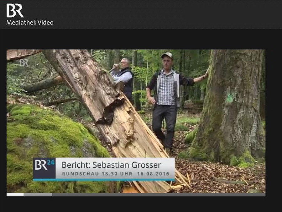 br-wald bistum pa