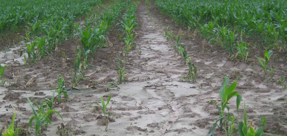 bodenerosion niederbayern p