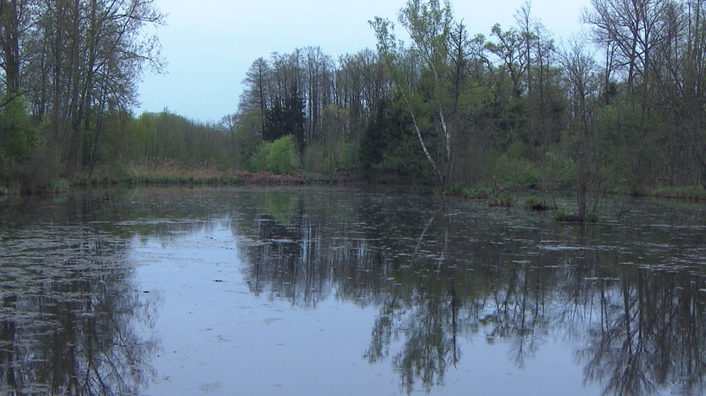 rainer-wald-tuempel