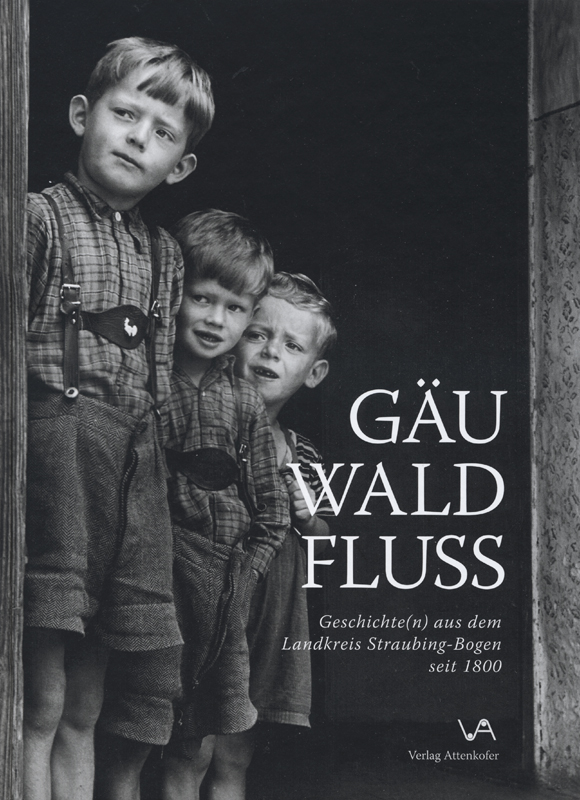 02 gaeu wald fluss