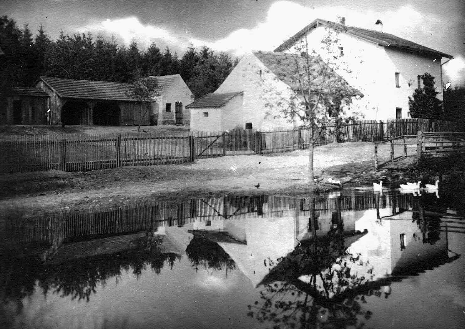 Der Dexenhof ein im Wald versunkenes Forsthaus