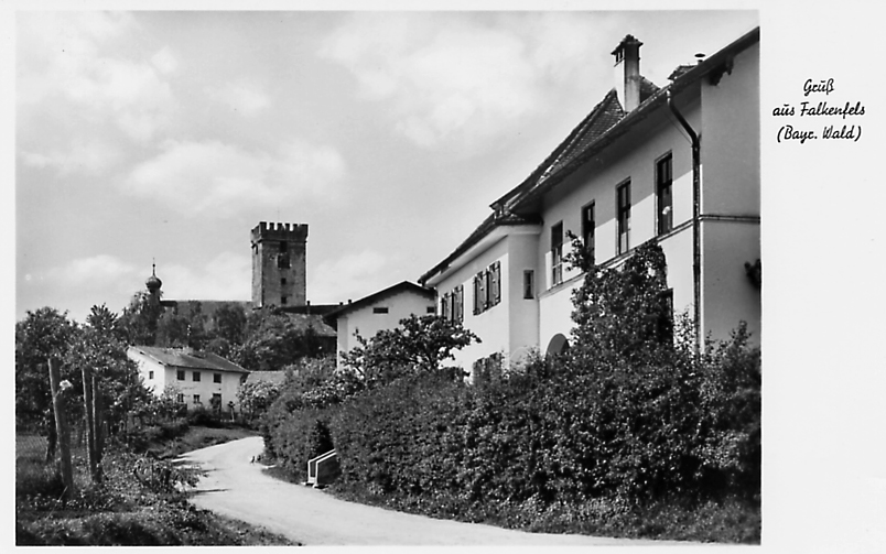 11 schul falk11
