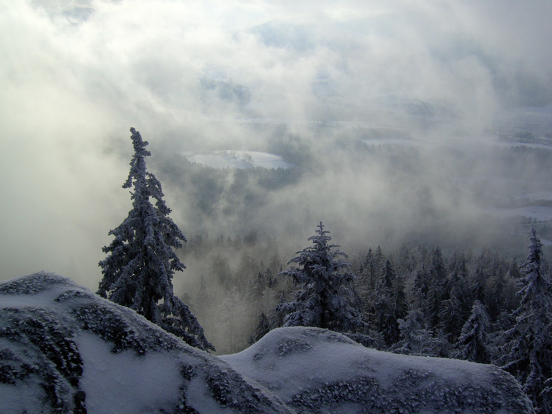 mue5winter