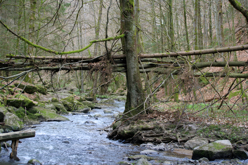 perlbach_bachabschnitt