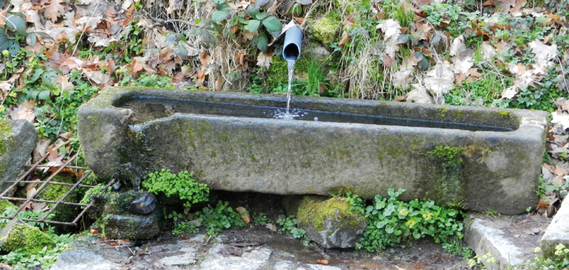 23 mitterfelser_heilwasser_brndl