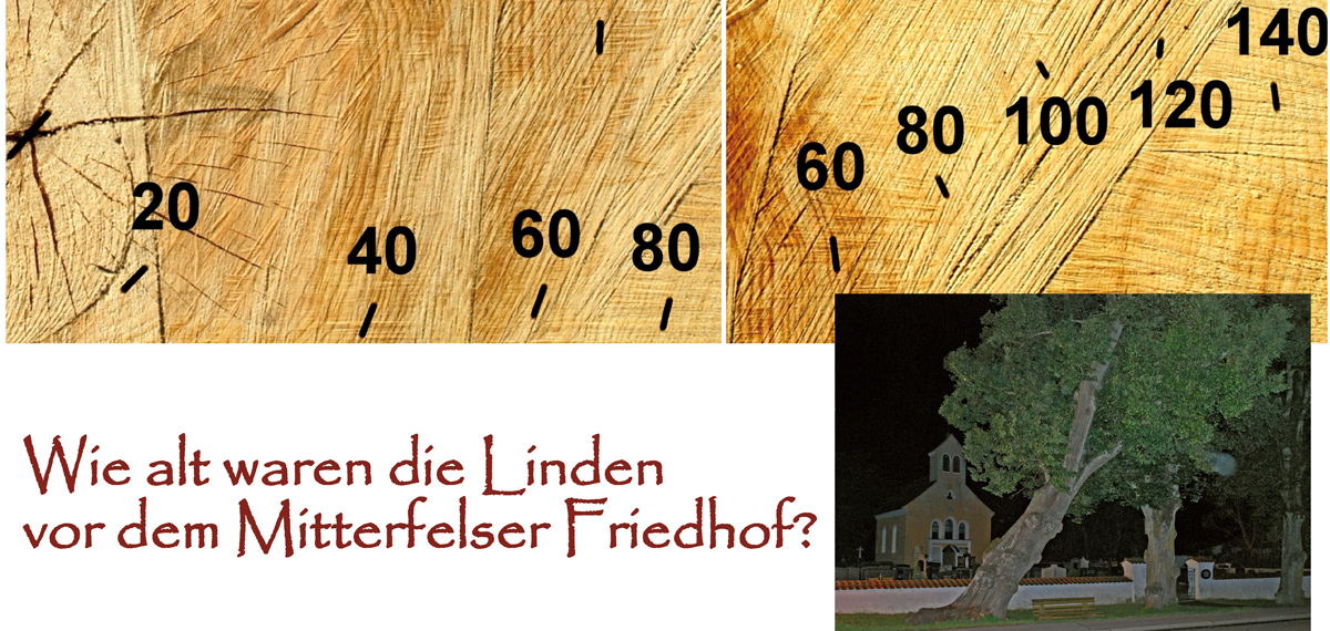 vor25 friedhofslinden