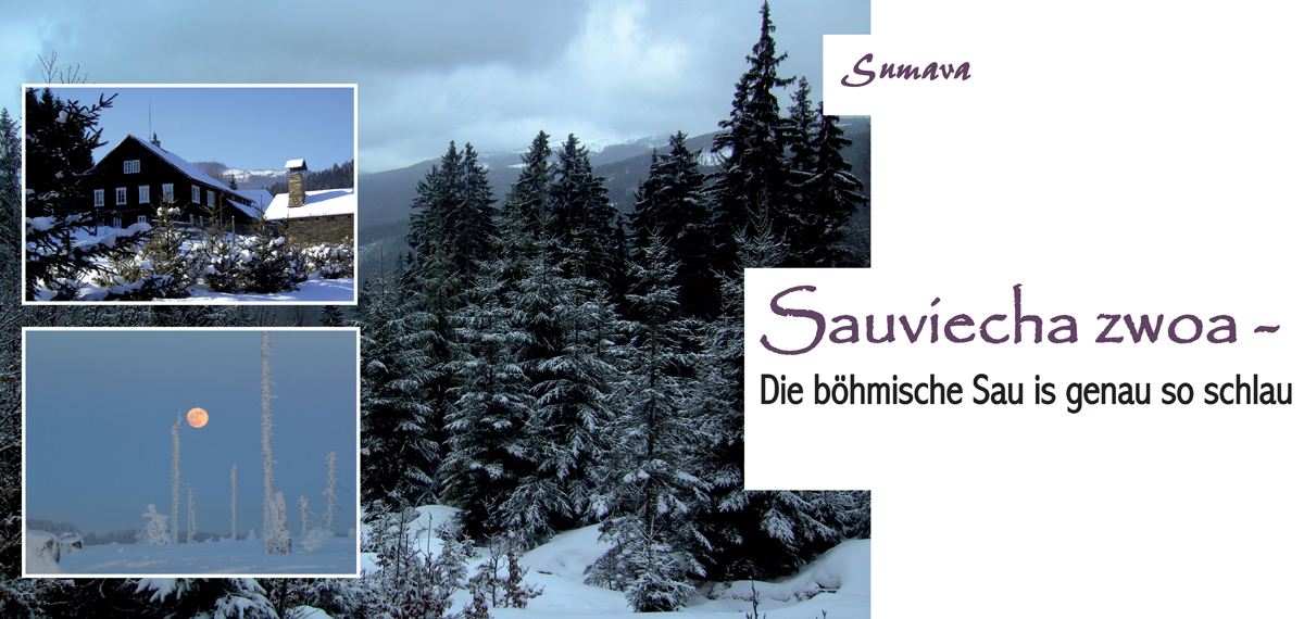 vor27 sauviecha zwoa