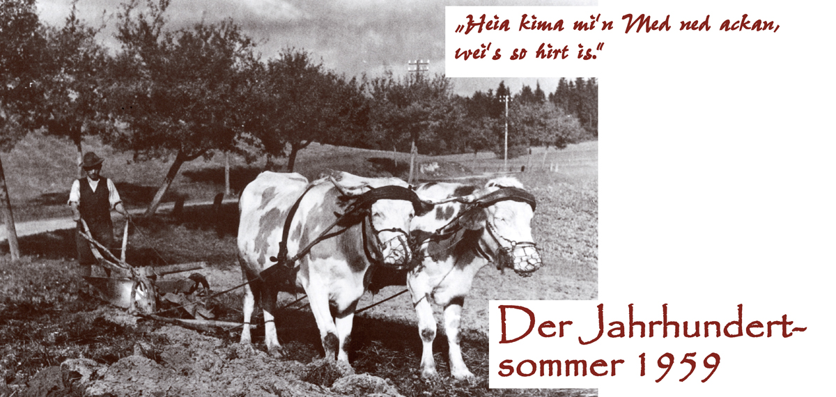 vor28 jahrhundertsommer 1959