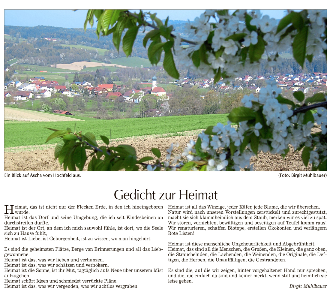 heimat mhlbauer 028 bog ztg 00 090416