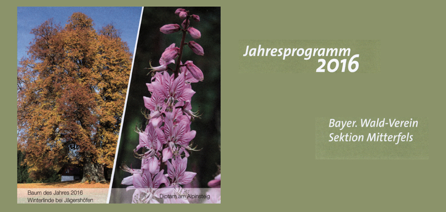jp 2016 w