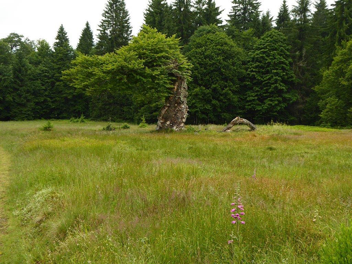 Schachtenfuehr Leibl 05