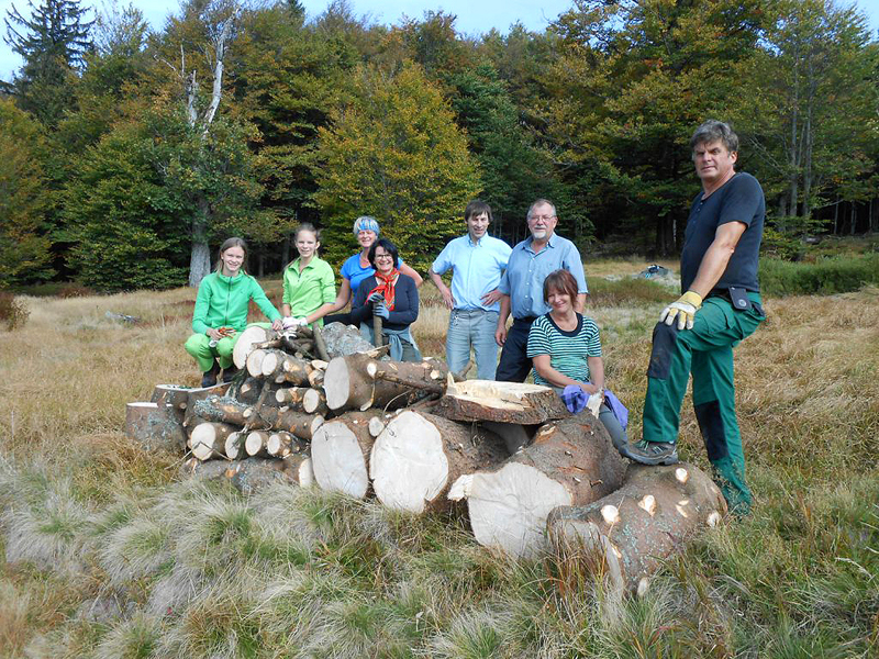 05 und so viel holz