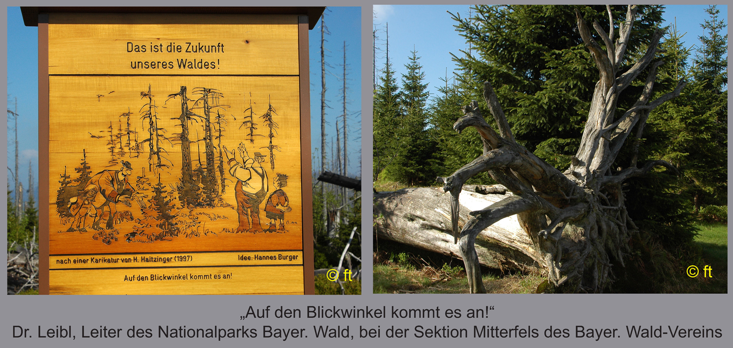 blickwinkel bild w