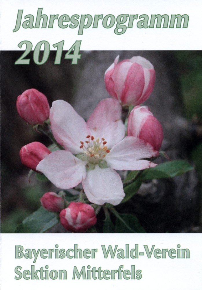 programm2014 1 w