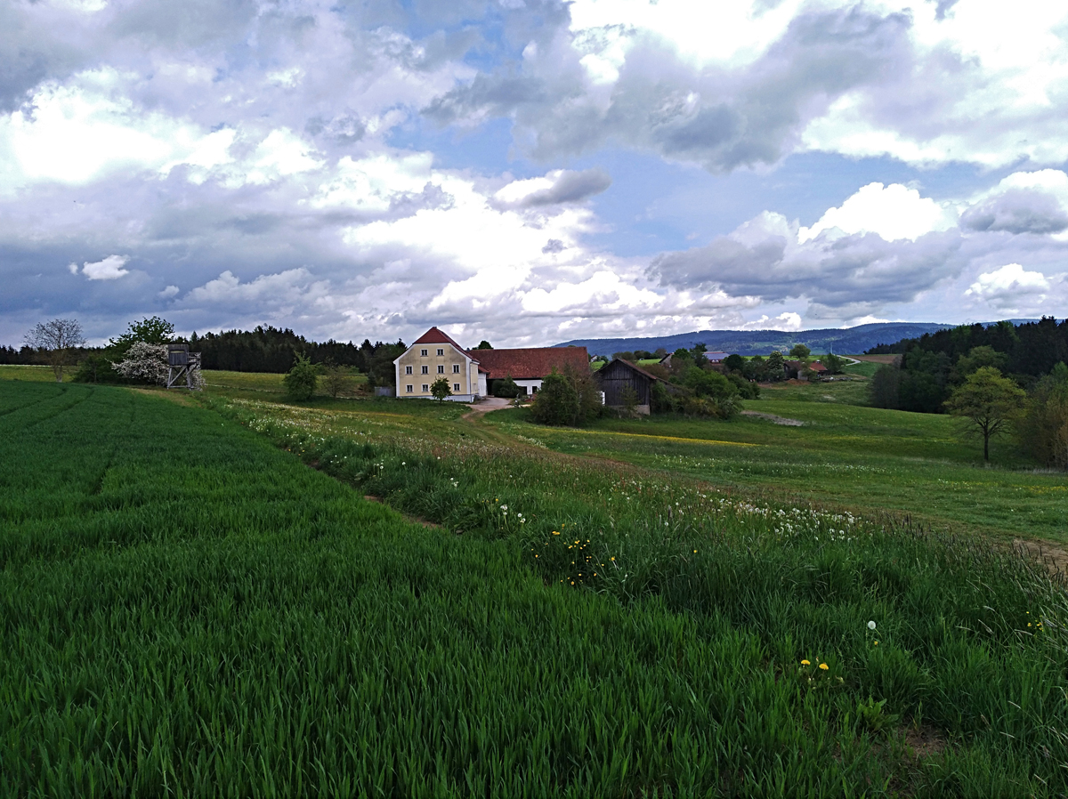 Bairisch Grokohlham t