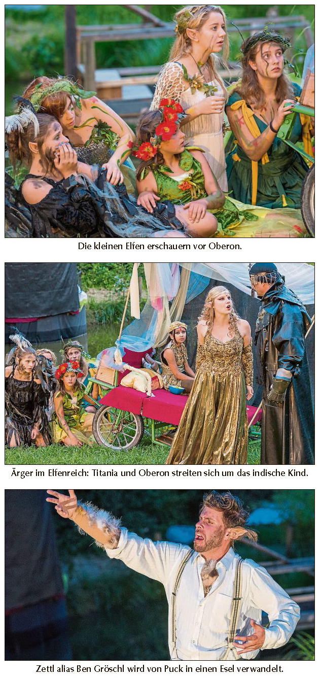 sommernachtstraum1