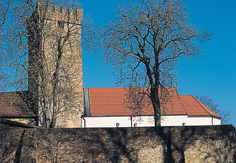 burg 022 bog ztg 00 160115 w
