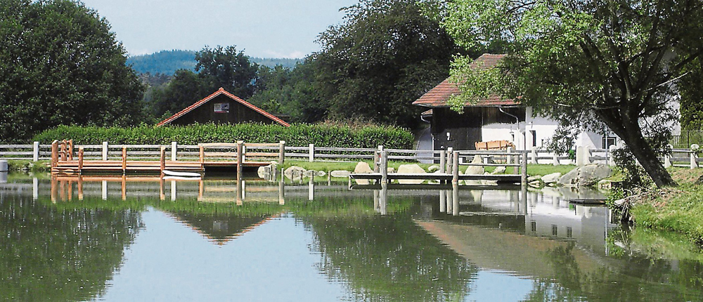 dorfweiher 022 bog ztg 00 160115 w