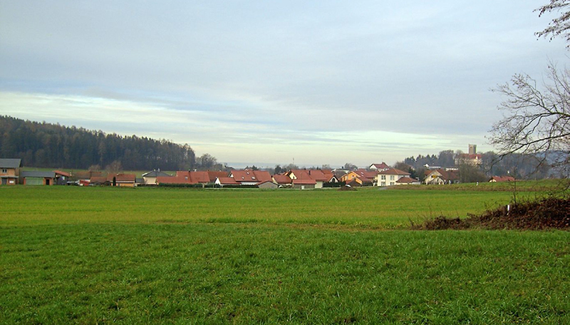 Jahresrueckblick2016 3 Falkenfels 018 BOG ZTG 00 180117 w