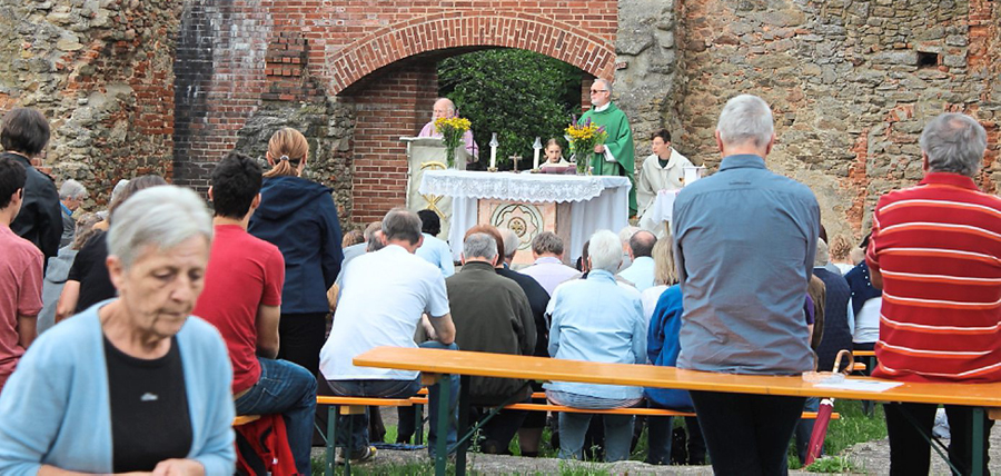 burgfest haibach 018 bog ztg 00 110815 w
