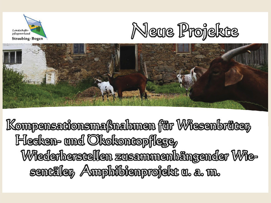 LandschaftsPV Webseite2