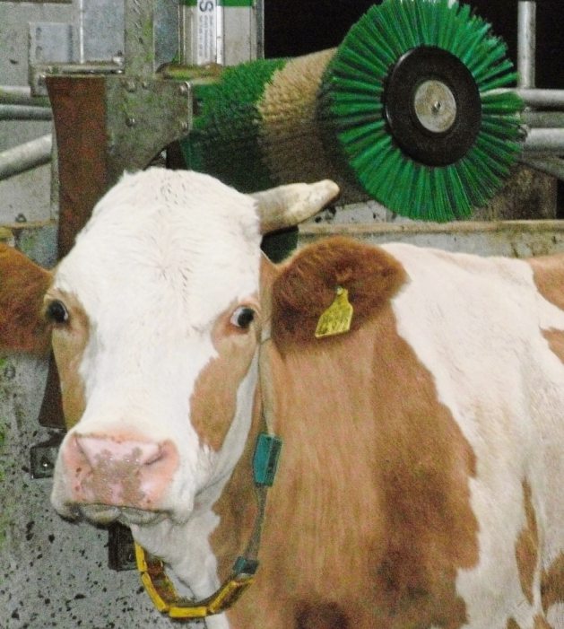 landwirtschaft3