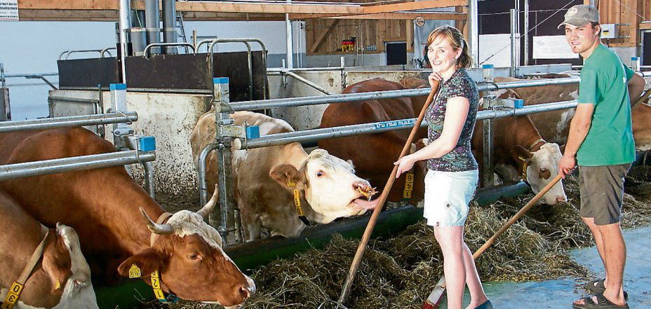 landwirtschaft graf p