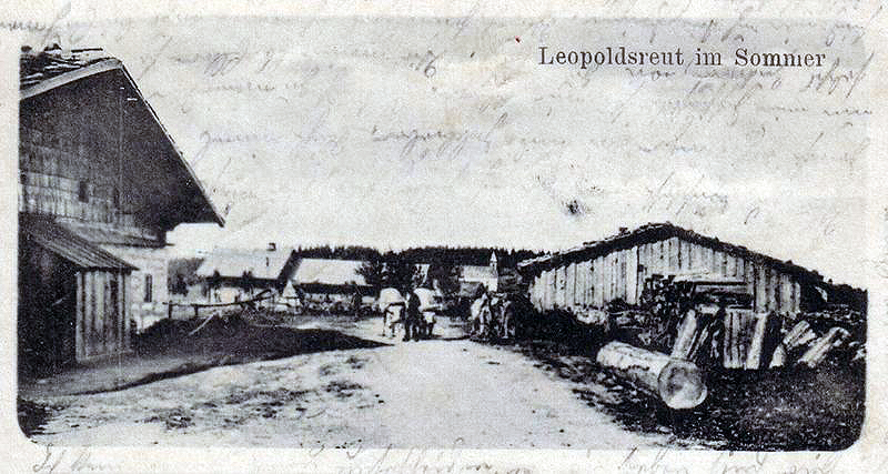 12 sommer 1906