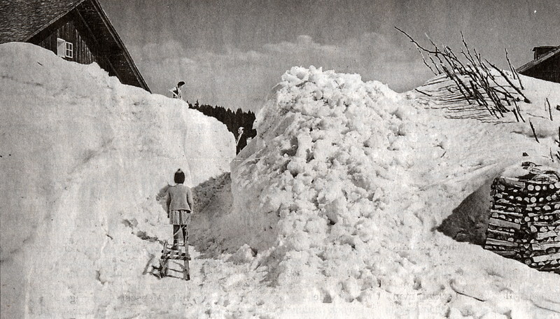 winter_leopoldsreut_w