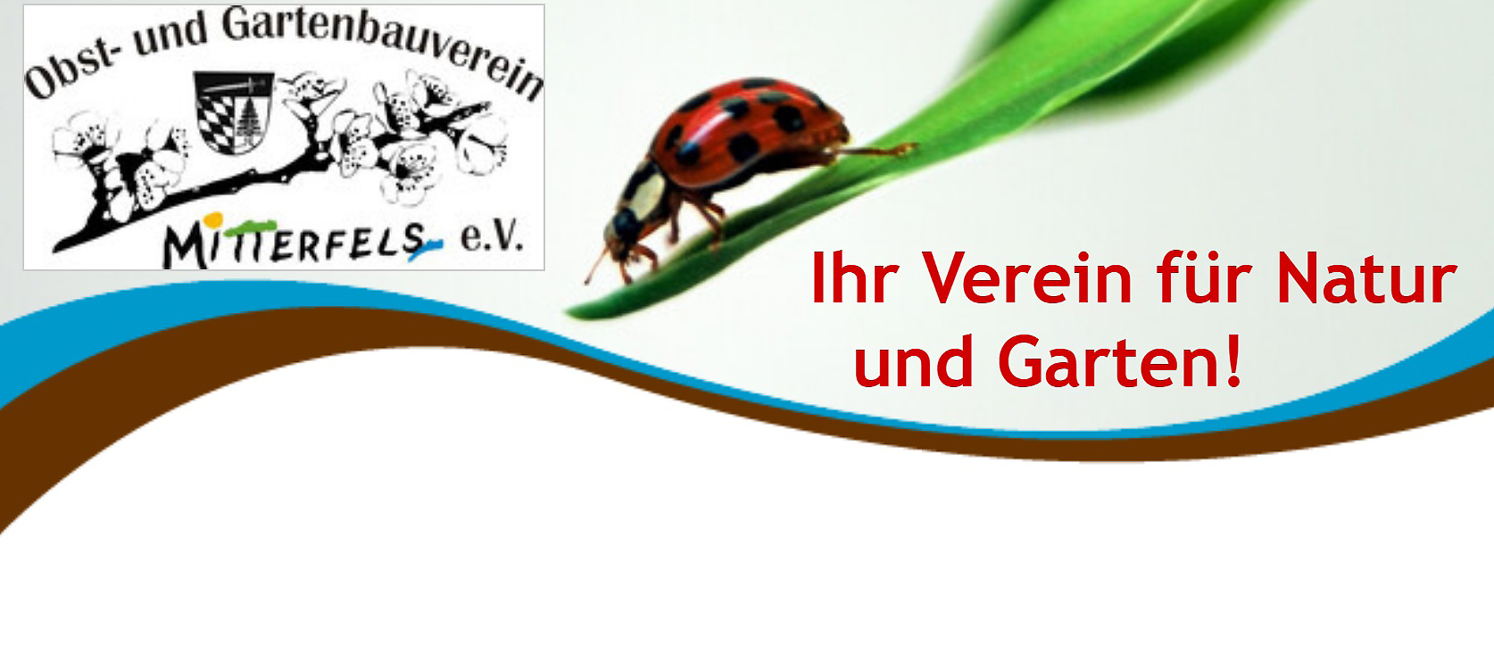 2024 03 14 Logo OGV MITT