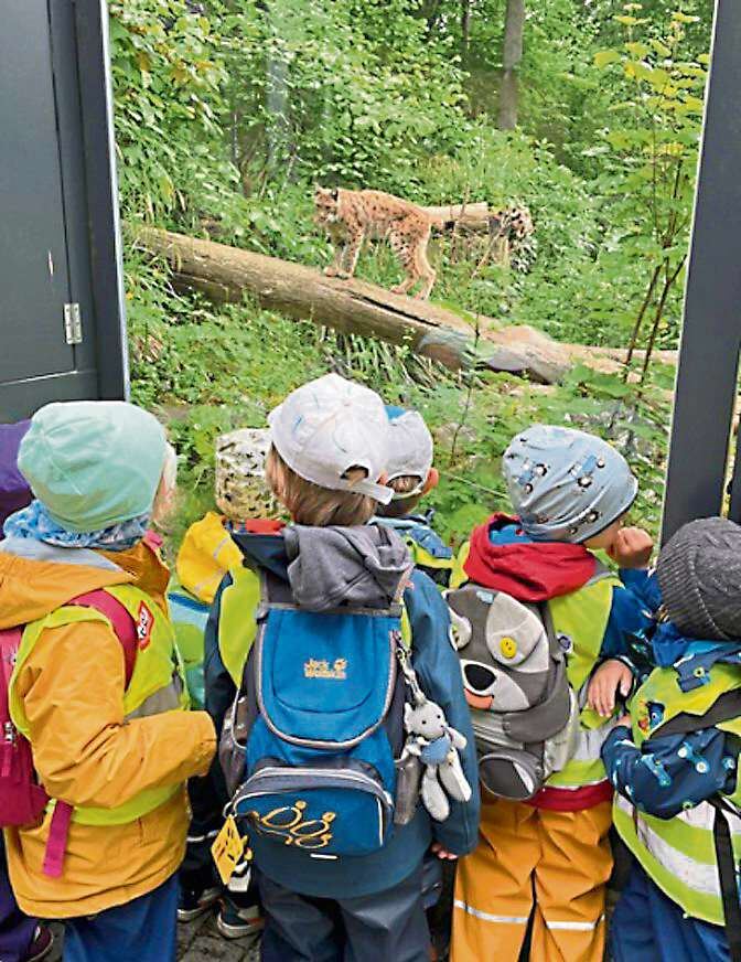 2025 05 27 Kita im Tiergarten