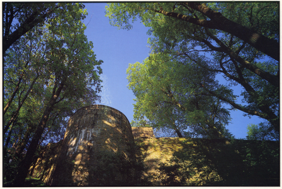 schlossberg