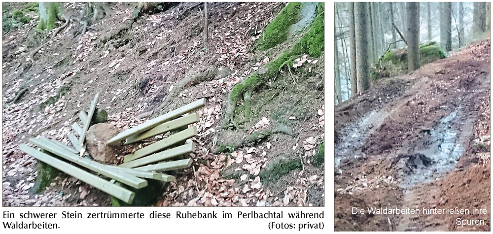 waldarbeiten im perlbachtal w