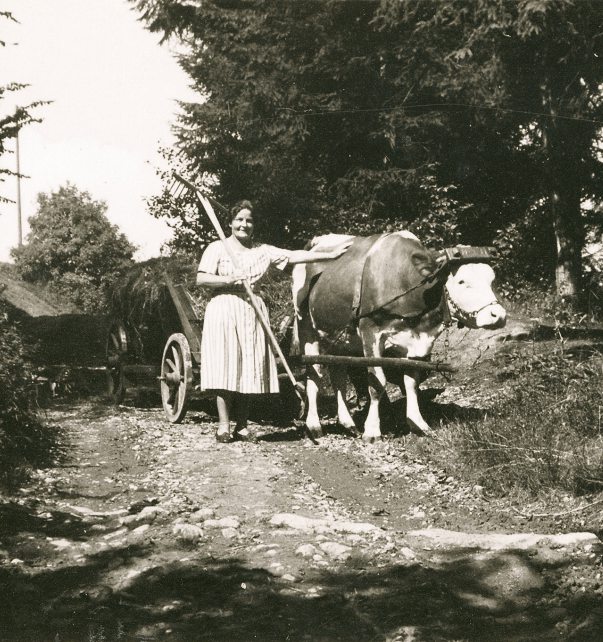 liesl wacker 023 bog ztg 00 260714