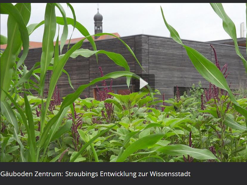 Straubings Entwicklung zur Wissensstadt