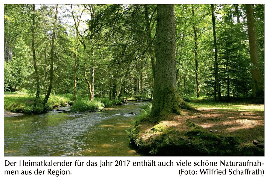 neuer sr-kalender 2 010 dgf ztg 00 250816