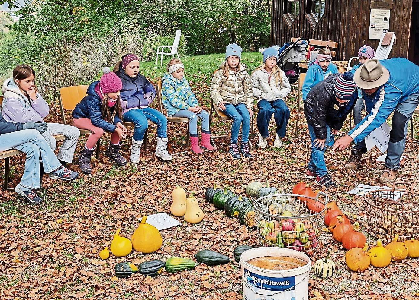 2025 10 17 Ernte im Gemeinschaftsgarten